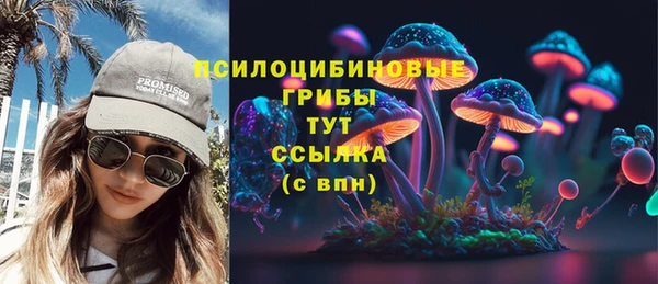 PSILOCYBIN Армянск